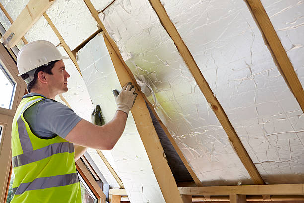 Best Spray Foam Insulation  in Duncansville, PA